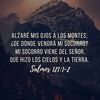 domenicar32